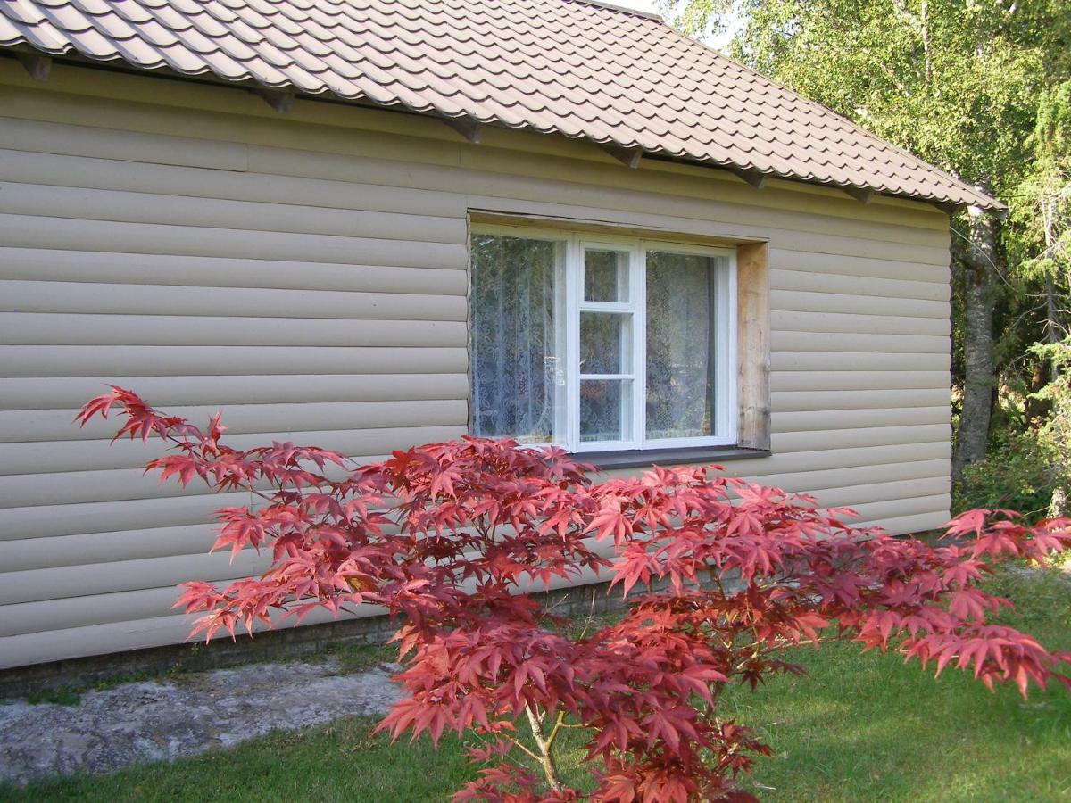 Kipi-Koovi Holiday Centre Eksteriør bilde